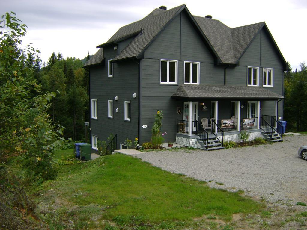 Villa Vue Sur La Montagne LʼAnse-Saint-Jean Exterior foto